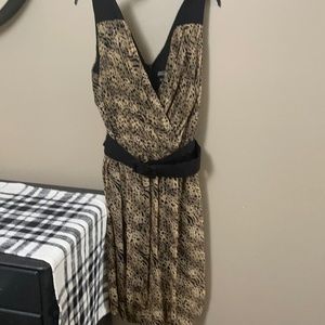 Adrianna PAPELL Dress